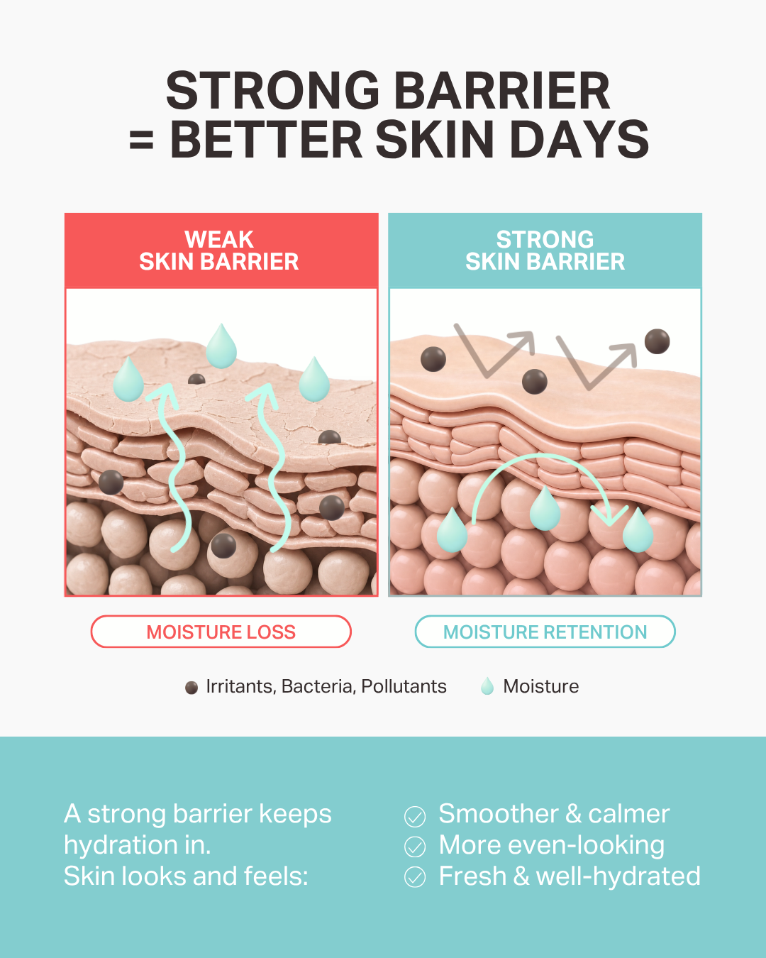 Jung Beauty Hydra-Barrier Ginseng Toner