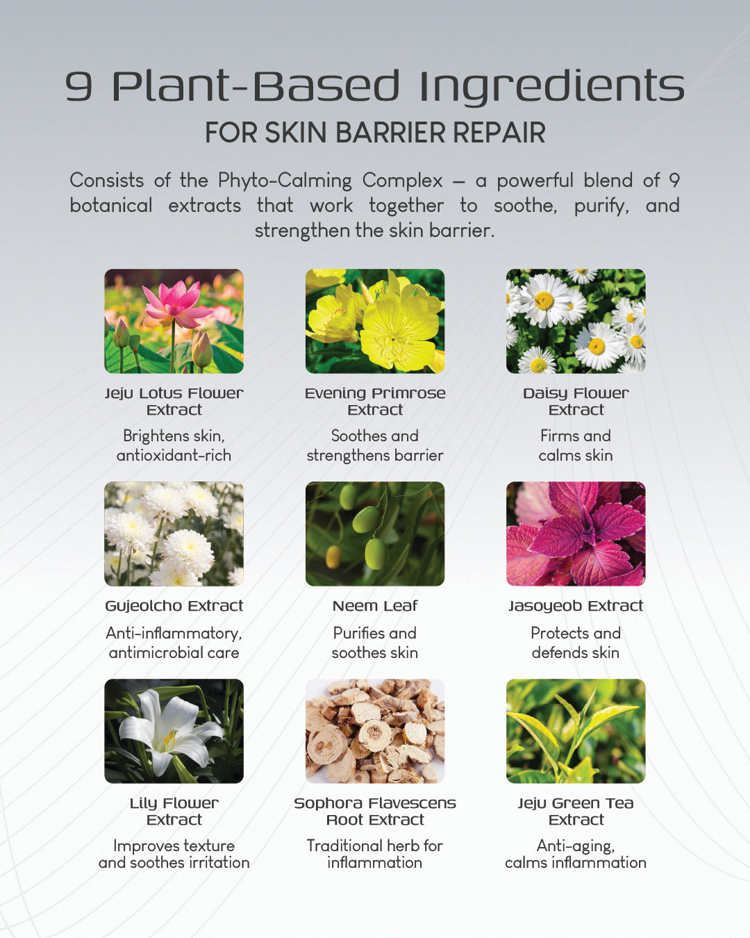 Jung Beauty Brightening Microcurrent Mask with Niacinamide and Rice Bran Extract (Box of 5)