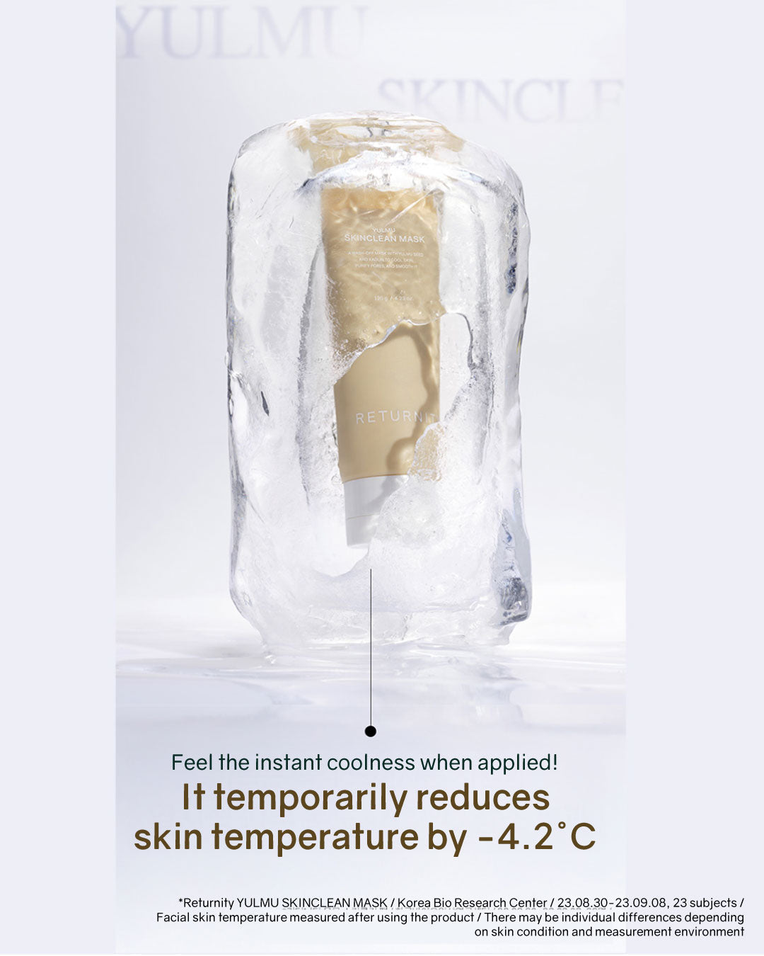 Returnity Yulmu Skinclean Mask 20g