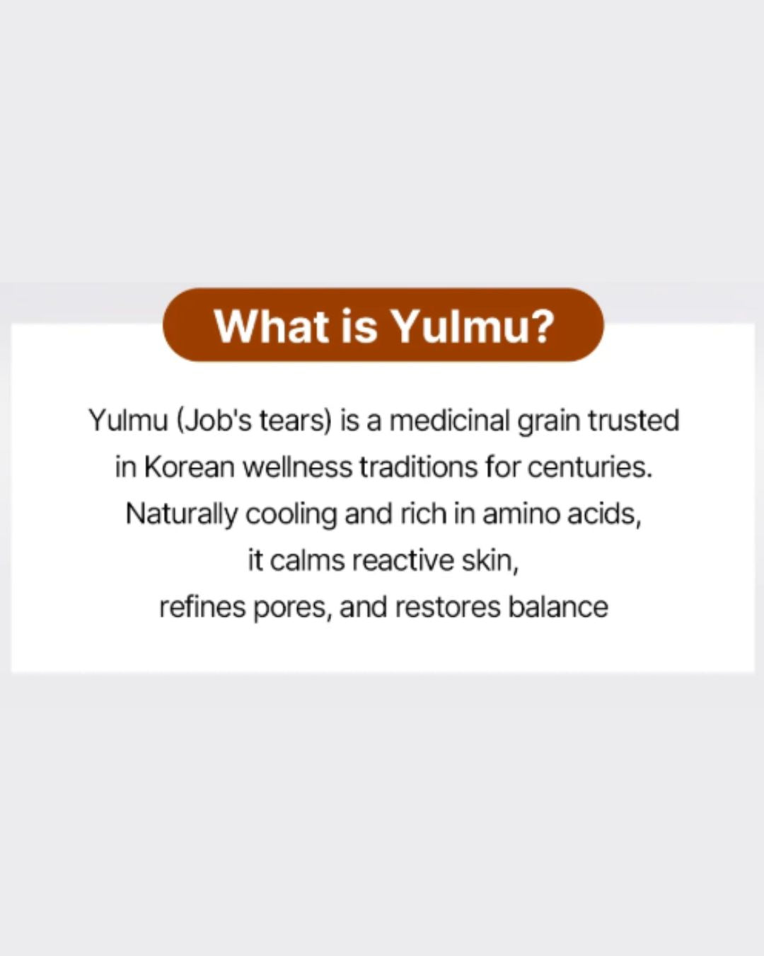 Returnity Yulmu Toner 255ml