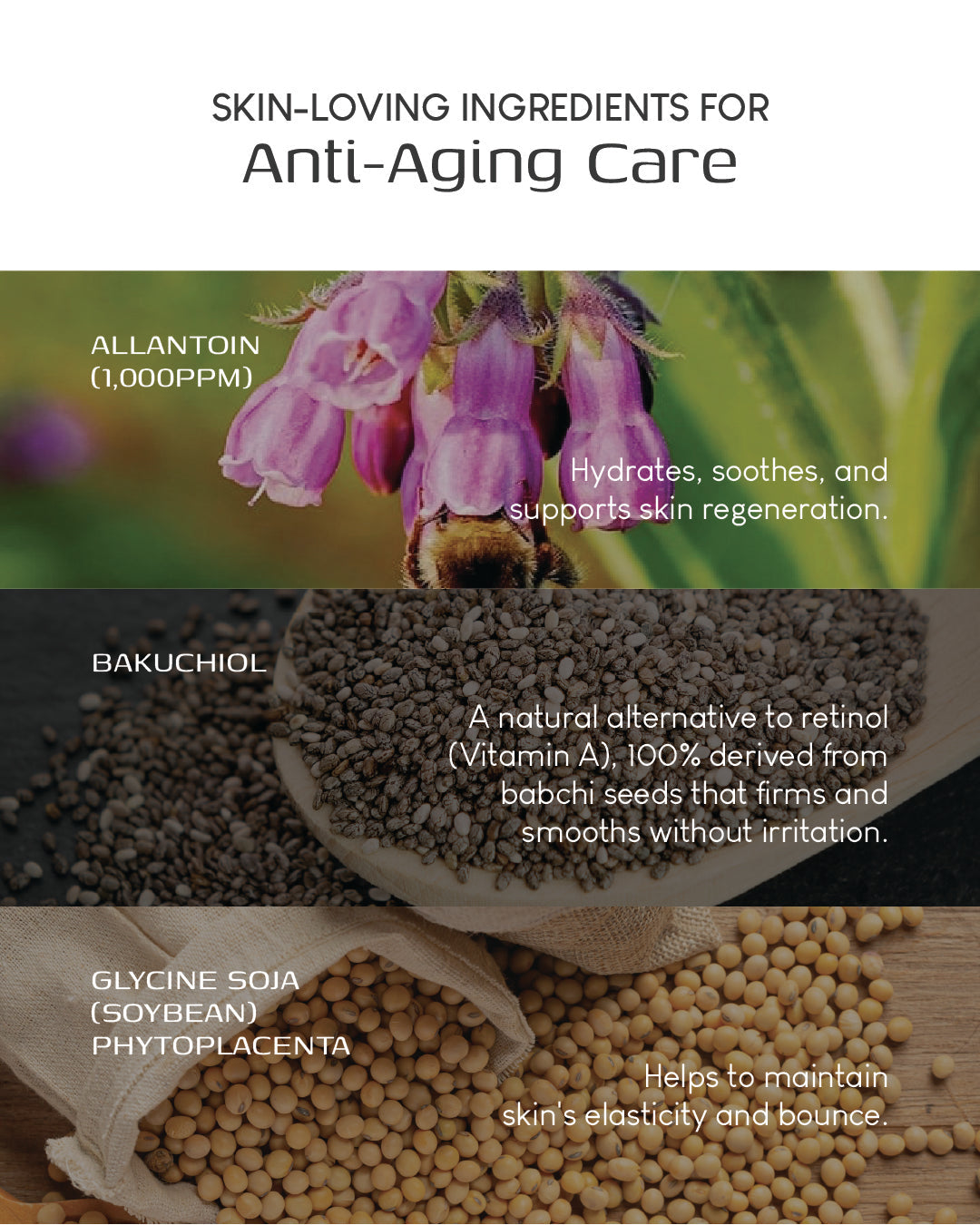 Jung Beauty Brightening Microcurrent Mask with Niacinamide and Rice Bran Extract (Box of 5)