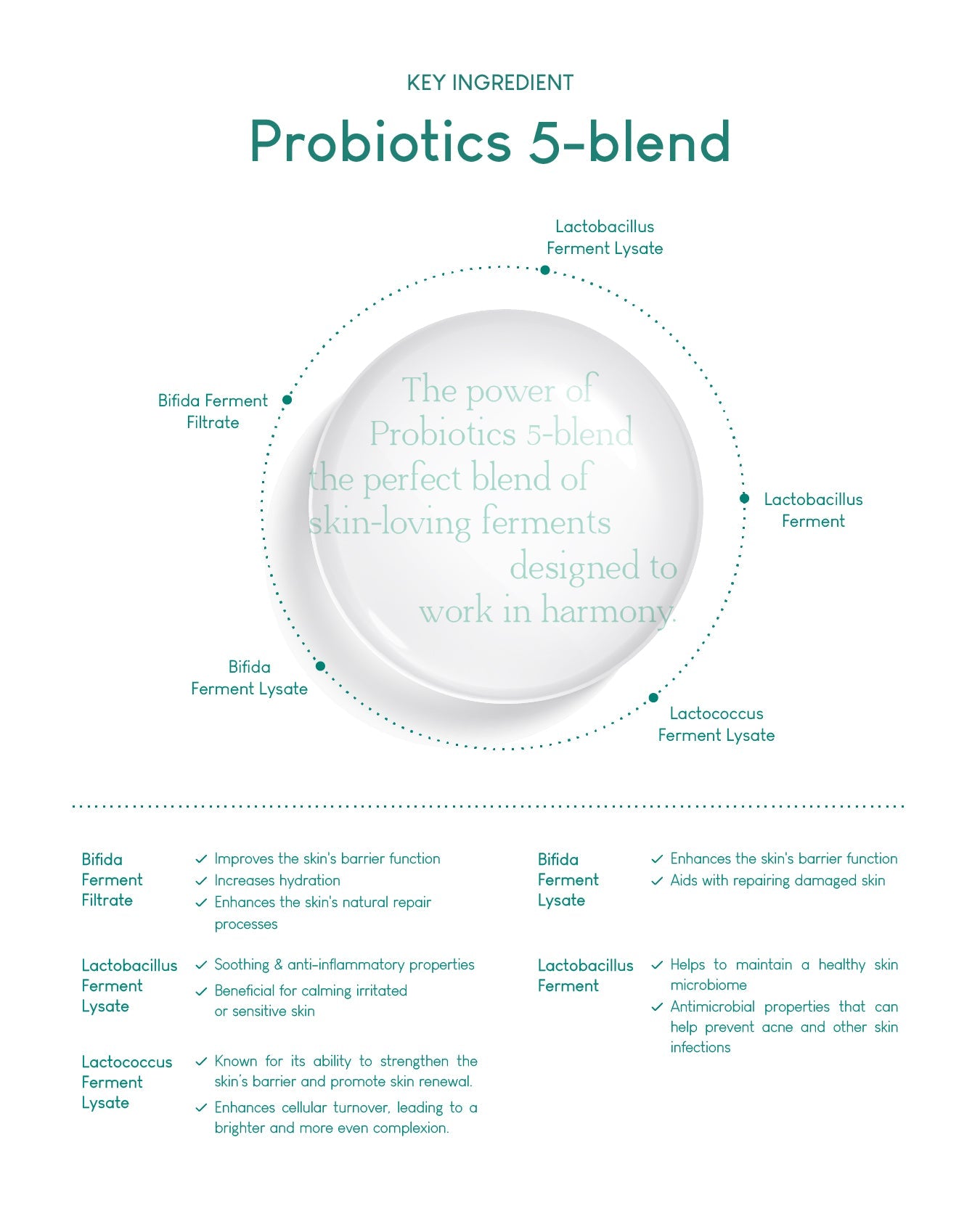 Jung Beauty Purifying Bubble Cleanser with Panthenol + Probiotics