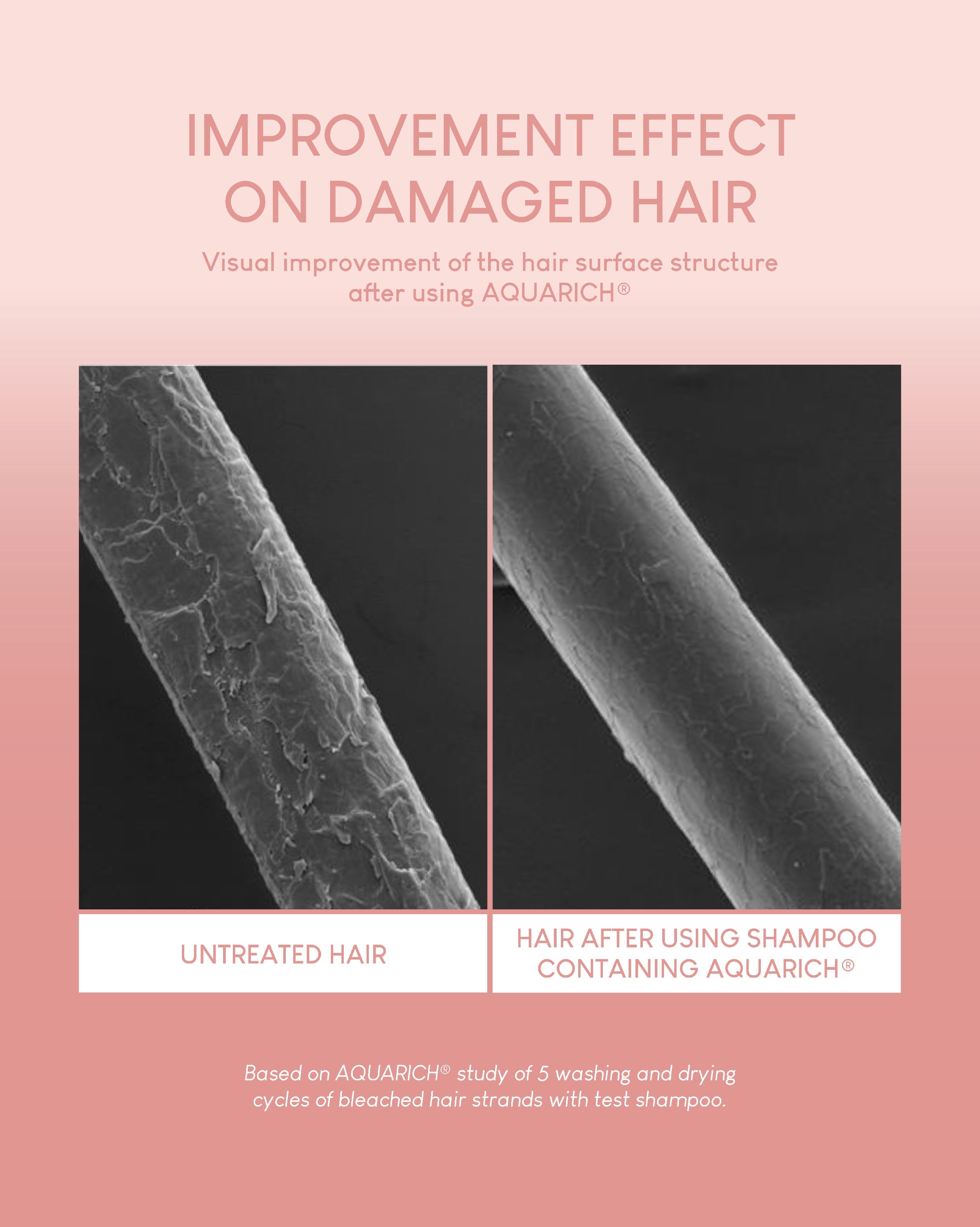 Jung Beauty Damage Repair Keratin Shampoo - 500ml